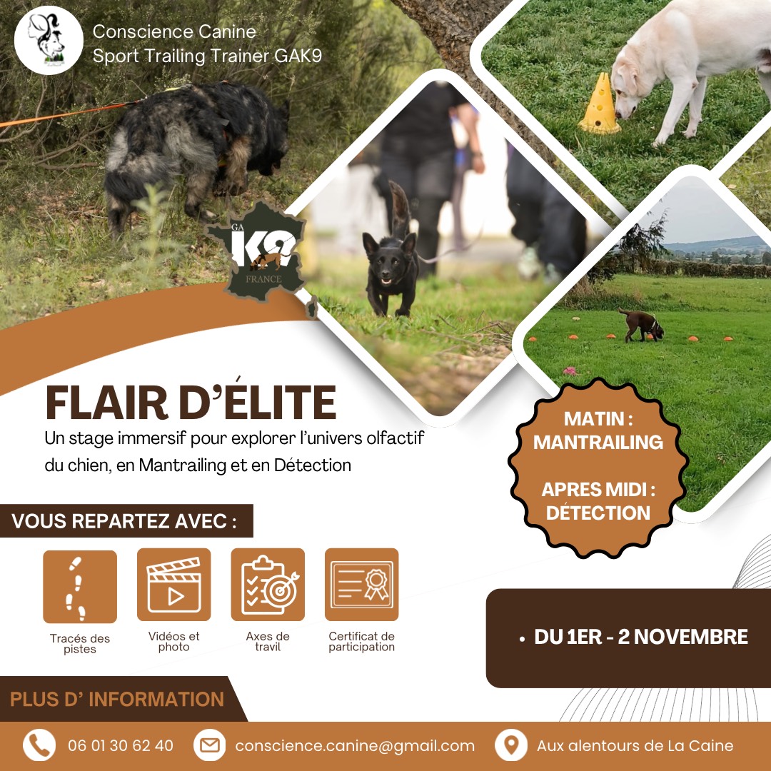 Stage Flair d'élite en mantrailing et détection