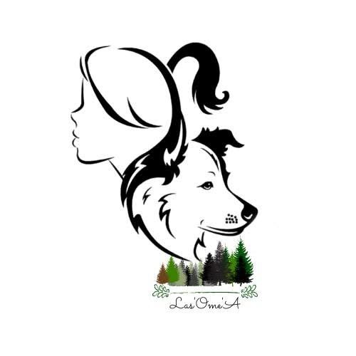 Logo de Conscience Canine