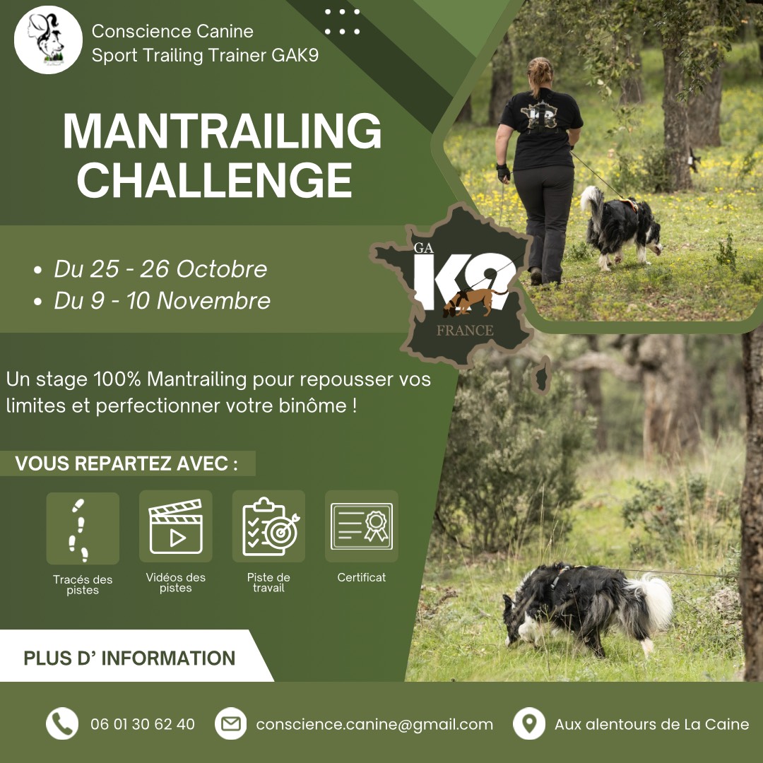 Chien en recherche olfactive en milieu naturel