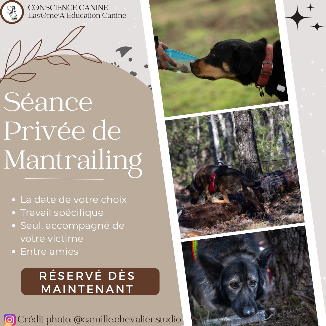 Séance privée de mantrailing