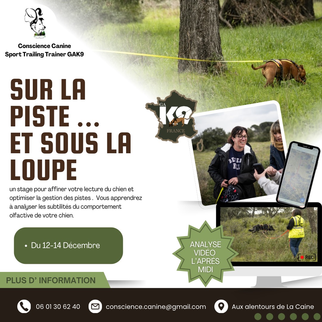 Stage de pistage Conscience Canine avec analyse vidéo